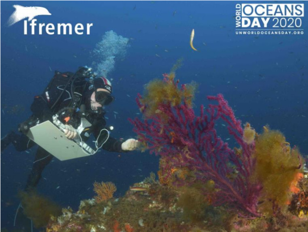 Journée mondiale de l’océan : L’Ifremer met l’océan à l’honneur avec des personnalités de la mer et des chercheurs de l’Institut depuis les trois océans