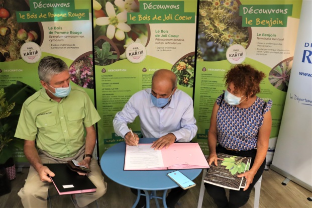 Écologie: Leroy Merlin s’engage pour le « Fonds Agir pour la forêt »