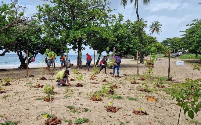 Biodiversité Outre-mer : trois appels à projets TeMeUm s’ouvrent jusqu'au 5 mai 2024