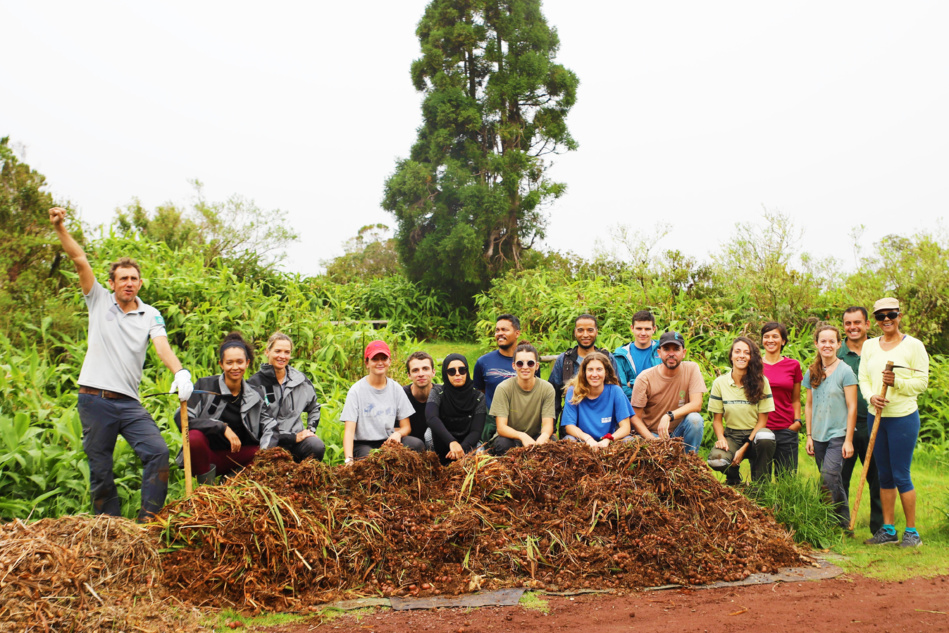 Photo d’illustration : Chantier participatif - Col de Bellevue - JIF 2023 © Parc national de La Réunion - Laurence PEYRE (66)