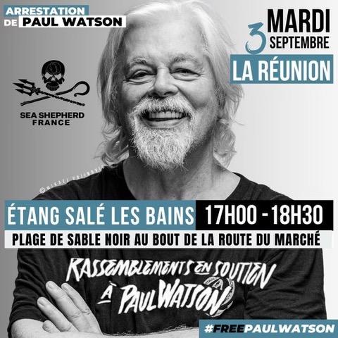 "Free Paul Watson" : La Réunion, solidaire de la lutte pour la biodiversité