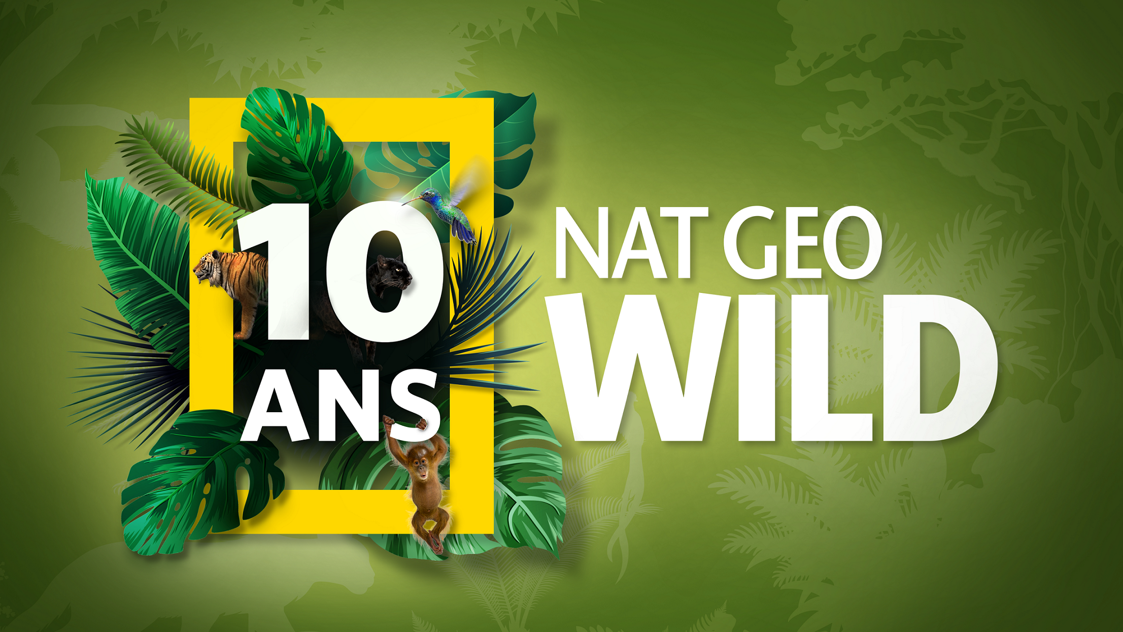 Нат гео вайлд. Канал Nat geo Wild. Nat geo Wild логотип. Телеканал нат Гео вайлд.