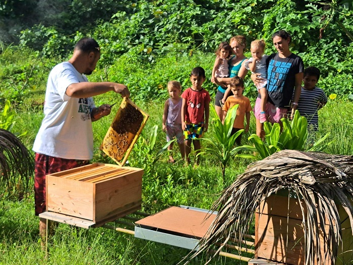 Multiculturelle, environnementale et accessible à tous, l’école Montessori Fare Bambini développe le goût de l'apprentissage et soutien un projet éducatif innovant en Polynésie Française