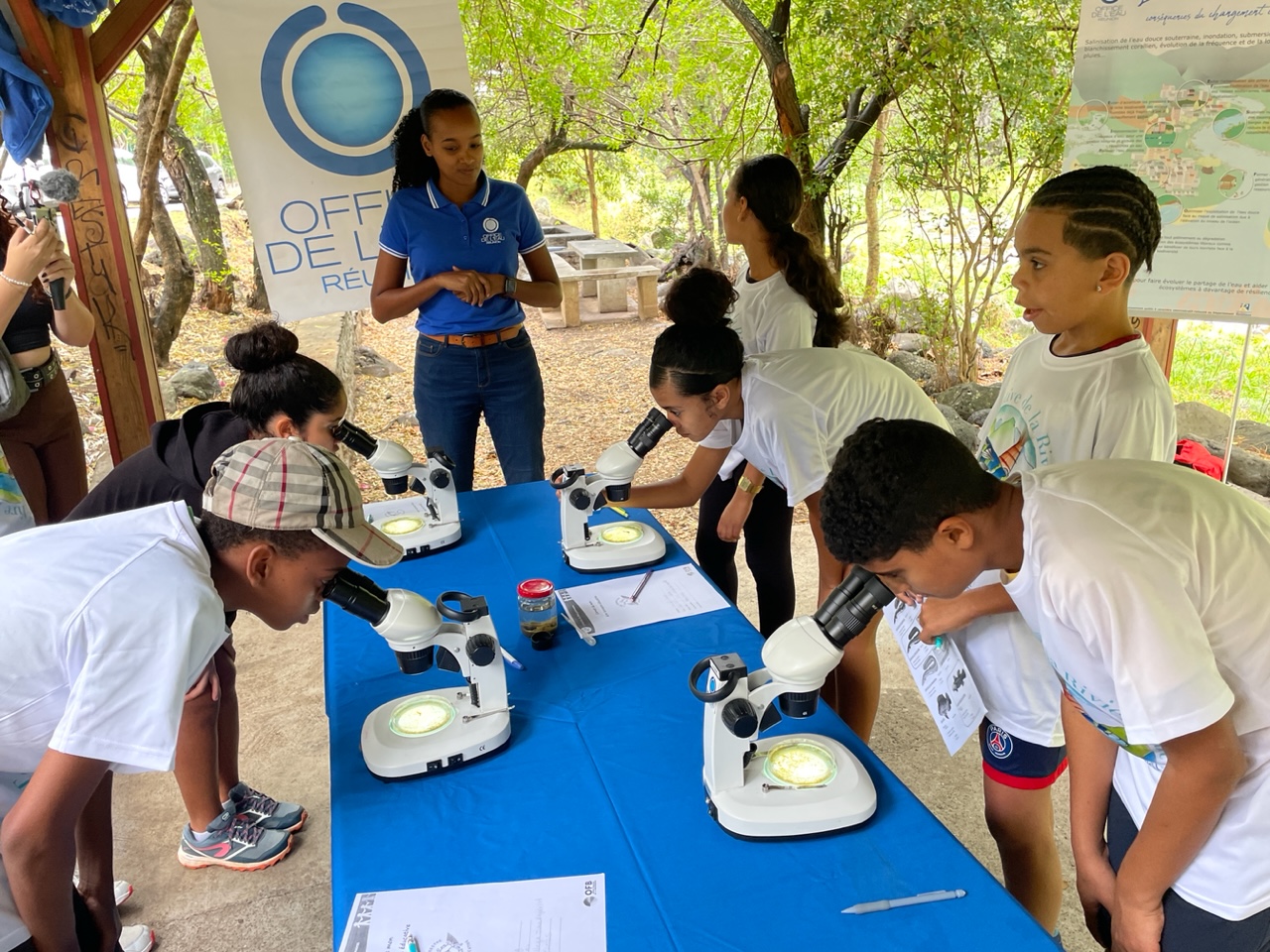 La Réunion : Les élèves de 5ème du collège Reydellet fortement impliqués dans la protection de l'environnement au Bas de la Rivière à Saint-Denis