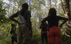 "Au bout de la forêt, l'espoir" : Voyage introspectif de jeunes guadeloupéens en quête de reconstruction au coeur d'un documentaire inédit, ce lundi sur France 3 et la1ere.fr