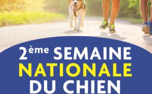 La Centrale Canine met la pratique du sport avec son chien à l'honneur en Polynésie Française