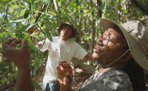 La "Guadeloupe, graines d’avenir", un documentaire inédit diffusé ce soir sur Guadeloupe La 1ère