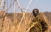 National Geographic Documentary Films annonce un nouveau court-métrage produit par James Cameron, « Akashinga ».