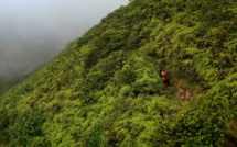 La Guadeloupe à l'honneur le 16 Octobre sur la chaîne VOYAGE