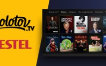 Molotov se renforce sur les TV connectées suite à un partenariat avec Vestel