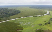 À la découverte de la richesse du patrimoine naturel de la Guyane dans un documentaire inédit ce lundi sur France 3 et le Portail Outre-Mer La 1ère