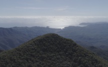 La biodiversité Calédonienne à l'honneur dans la série documentaire "De la crête au tombant" ce jeudi sur Canal+ Calédonie