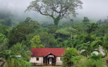 France 3 / "Village préféré des Français" : Saül représentera la Guyane