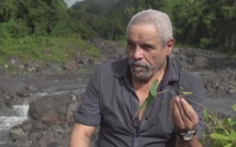 À la découverte des médecines traditionnelles antillaises dans un documentaire inédit, le 21 mars sur France 3