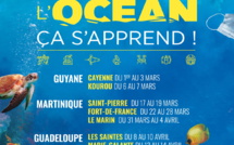 Education à l’éco-citoyenneté aux Antilles-Guyane : sixième édition de la tournée « Protéger l’Océan ça s’apprend » avec 7ème Continent