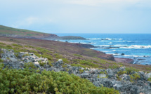 "outremer.story" : Escale sur l'île de La Désirade (Guadeloupe) ce samedi sur France 5